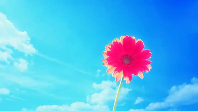 人生实苦，悲喜自渡！（读到心酸）
