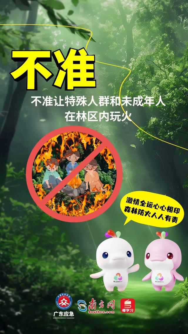 森林特别防护期，严禁这些行为→