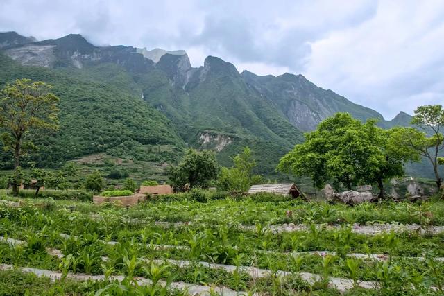 萝卜寨、岷江大峡谷