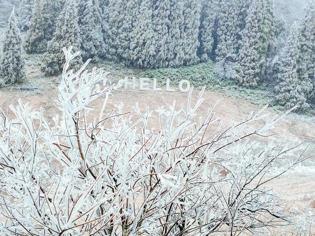 金佛山下雪❄️啦！秒变冰雪仙境