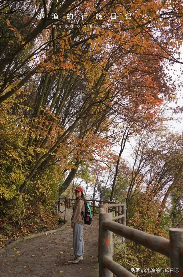 红叶、玻璃湖、悬空栈道！陕西秦岭绝美赏秋地，又到一年最美时