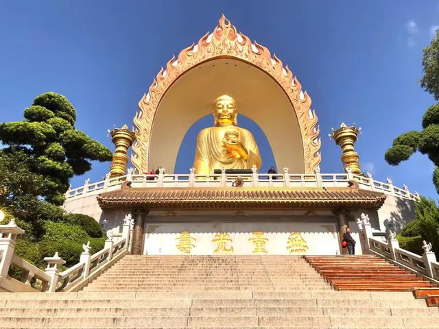 东林大佛游记