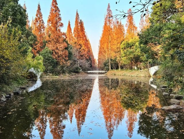 为你精选3个上海秋天周末遛娃游玩好去处。