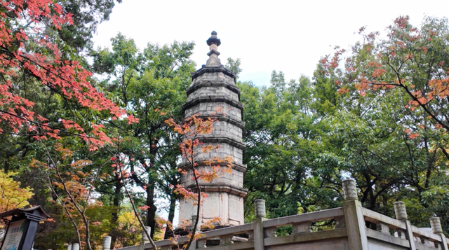 春城的秋天是什么颜色？来黑龙潭，给你一片火红的答案