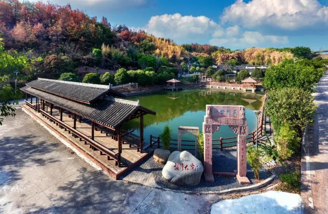 小布丁·早安丨地名里的重庆：渝北王家街道，半城空港半山水