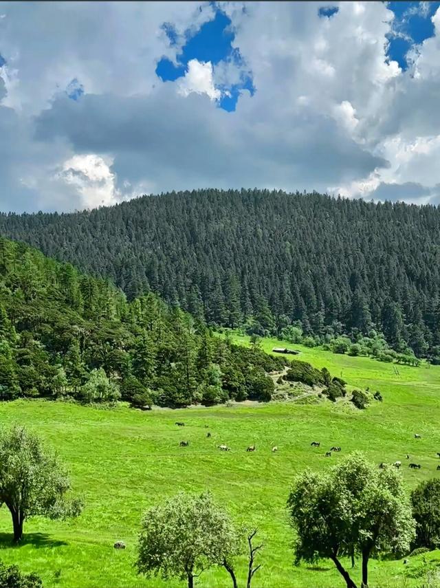 自驾游5年，为何总在8-9月出行？这5大旅游线路，人间值得！_1