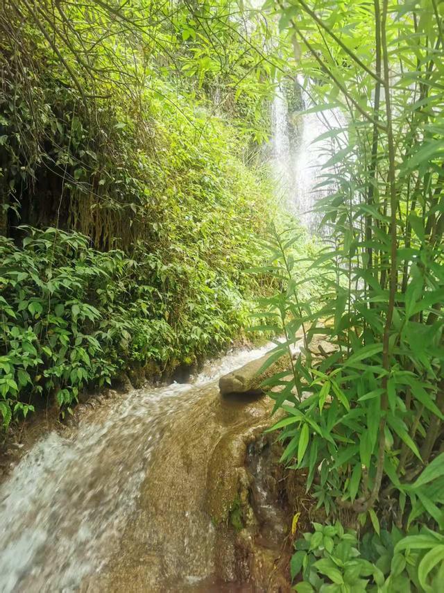 遵义播州：西坪有个“洪水大洞”