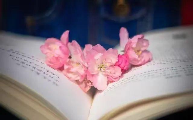 散文特点：语言美、意境美、形散神不散