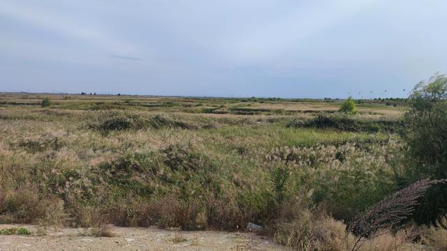 包头城南靠近黄河的昭君湖，也叫小白河景区，黄河浩渺，湖平如镜