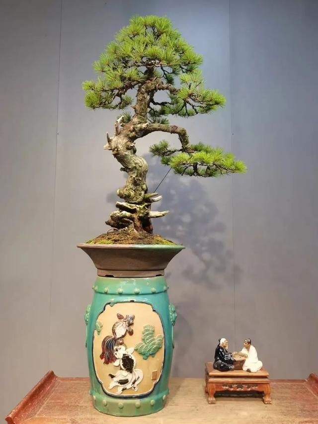 平南大鹏超绝游玩攻略，吃喝玩乐一站式安排！