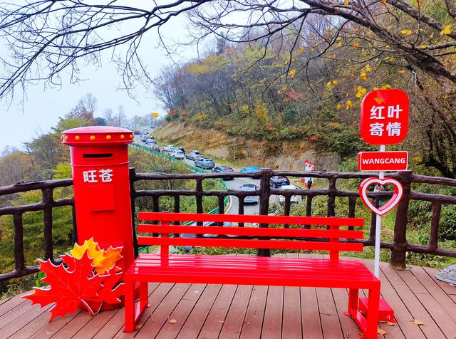 邂逅醉美秋色！广元66.7平方公里彩林美极了，漫山红叶如梦如幻！