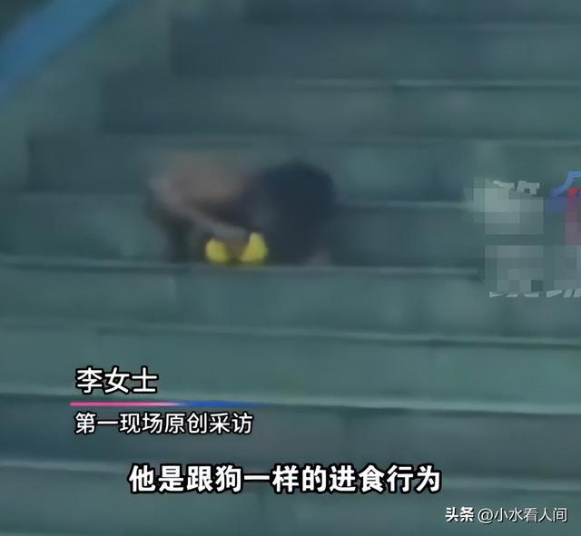 后续！“野人男童”父母大学毕业，生活诡异，邻居爆料更可怜细节