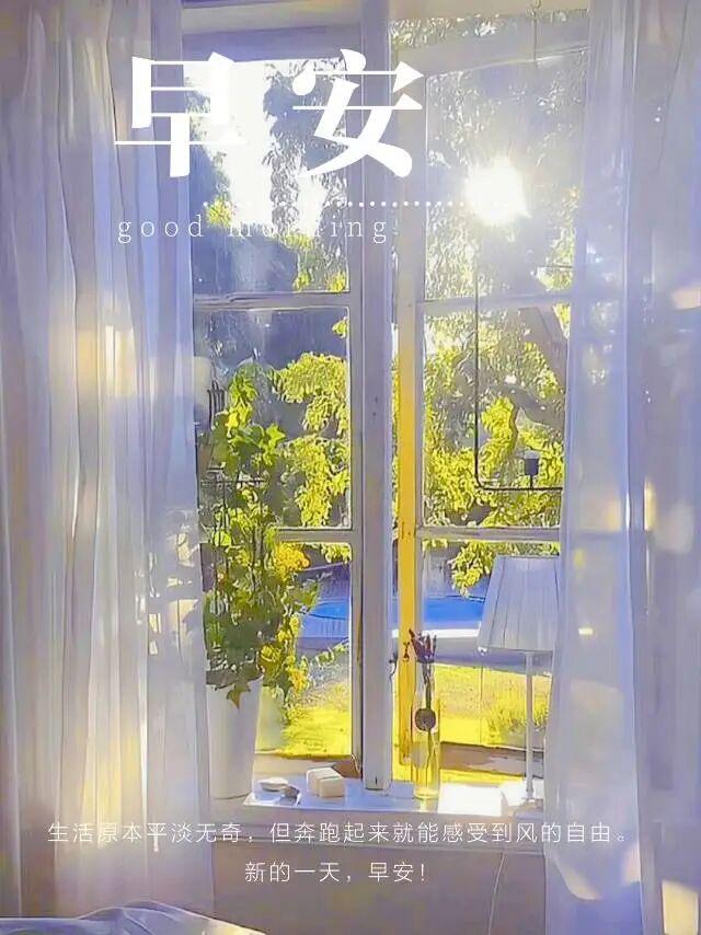 早安正能量简短励志句子， 风里有阳光的味道，今天也要元气满满呀