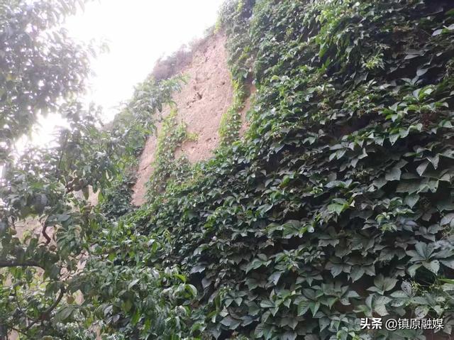 庆阳，高天厚土
