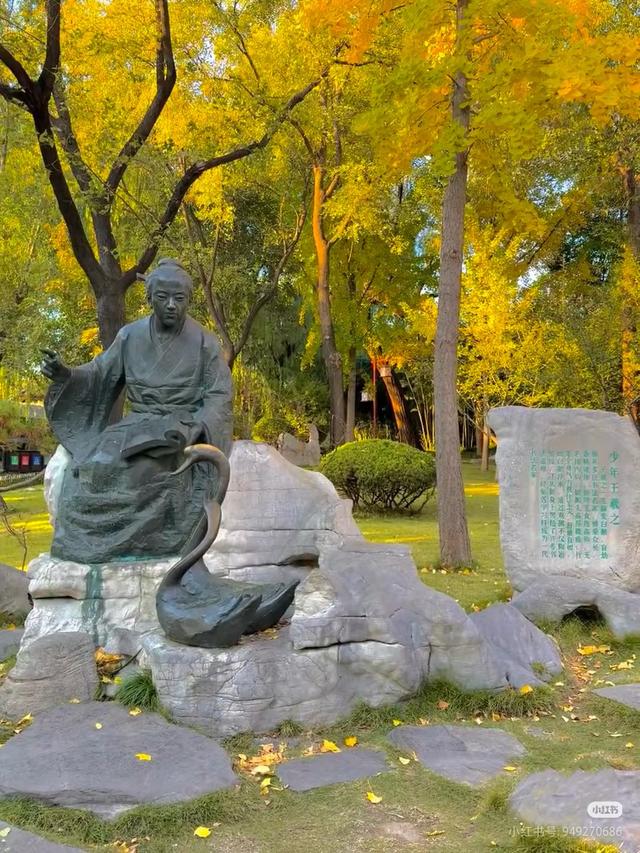 秋日临沂放大招！0元解锁N个免费景点，这份“白玩”攻略速存