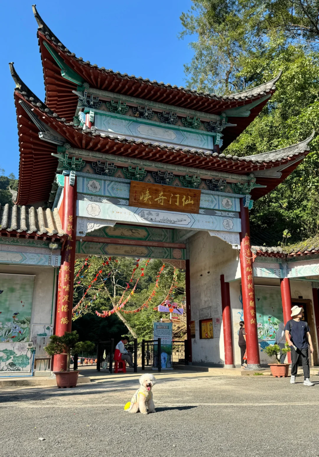 在韶关，带毛孩子去哪“浪”？这份宠物友好地图请收藏，撒欢不踩雷~