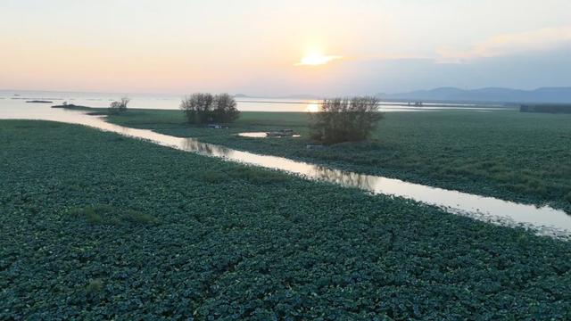 滕州微山湖红荷湿地：秋日限定的诗意画卷