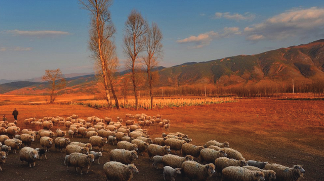 四川省布拖县历史沿革及行政区划