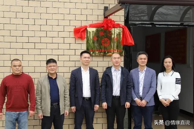 邂逅广东阳春马水镇：藏于时光褶皱里的静谧桃源