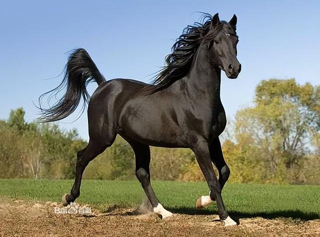 土库曼斯坦：比朝鲜神秘，拒签率达80%富得流油，把中国当好哥们