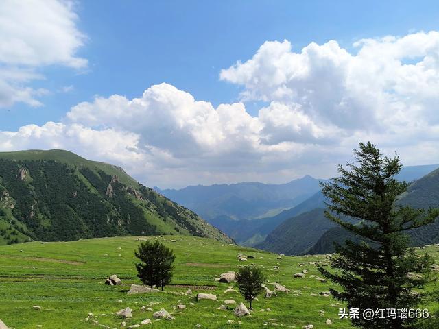 蔚县一座没有茶树的茶山，景色壮美，推荐通往茶山的路线