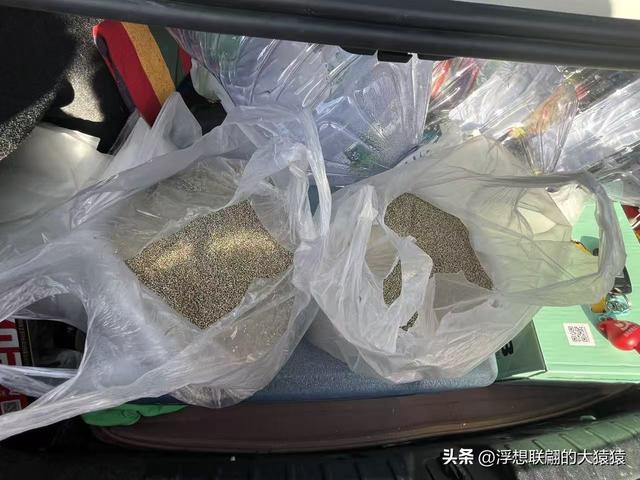 石斑鸠村，一座大山深处有着古老历史和众多红色革命故事的小山村