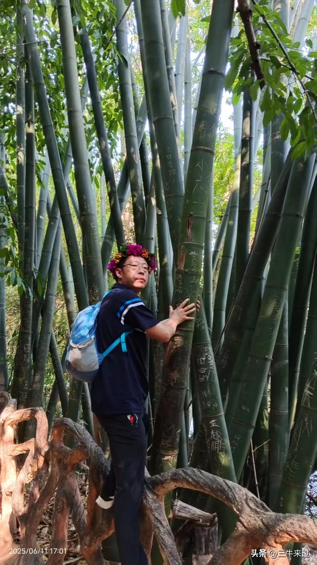 无为在歧路,贵州六日行(8)~黄果树