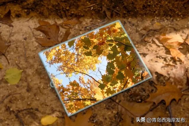 走不出这画了，我已被西海岸的秋景迷倒 🥹