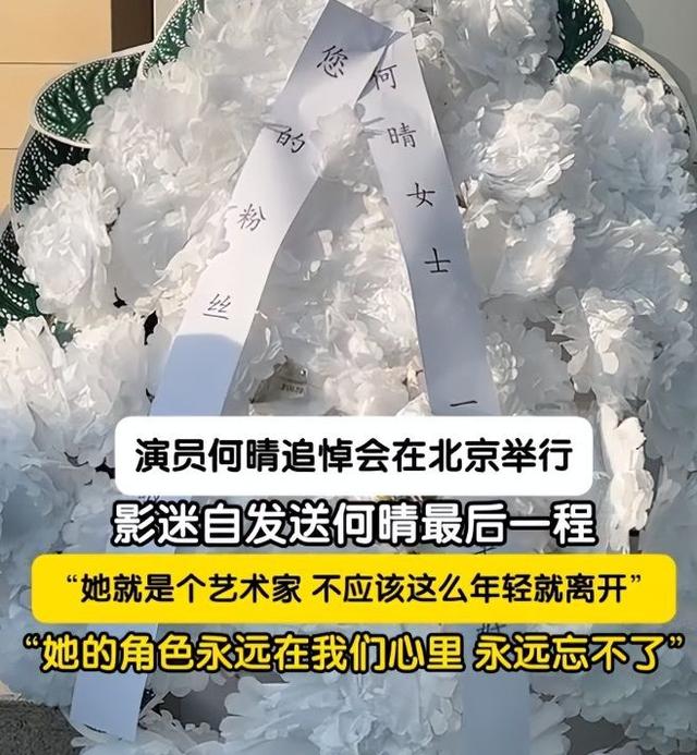 何晴葬礼举行！儿子手捧骨灰，遗像曝光惹泪目，廖京生现身送别
