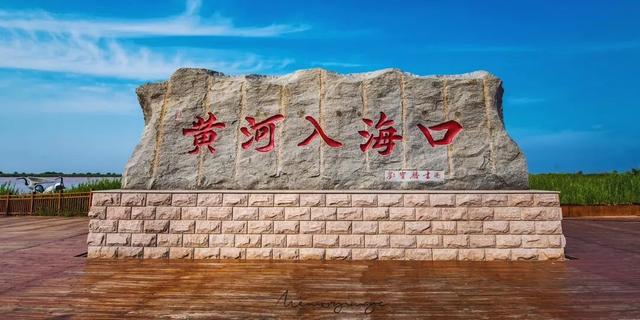【黄河口生态旅游区】邂逅多彩黄河口，赴一场自然与生命的浪漫之约