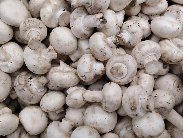 它是唯一含维生素D的蔬菜，又是“天然硒库”，老人孩子要常吃