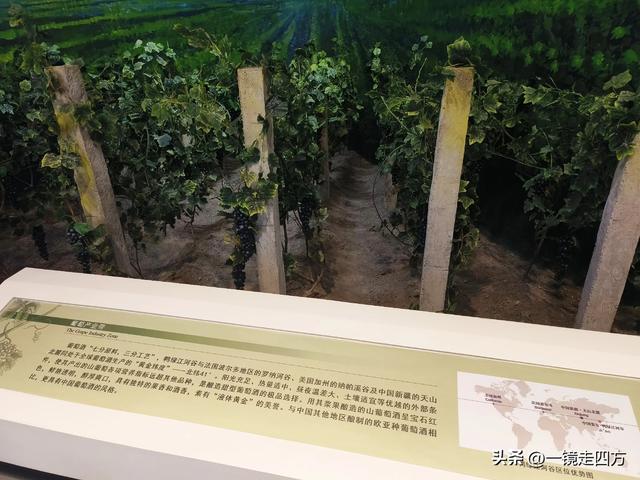 通化市自然博物馆