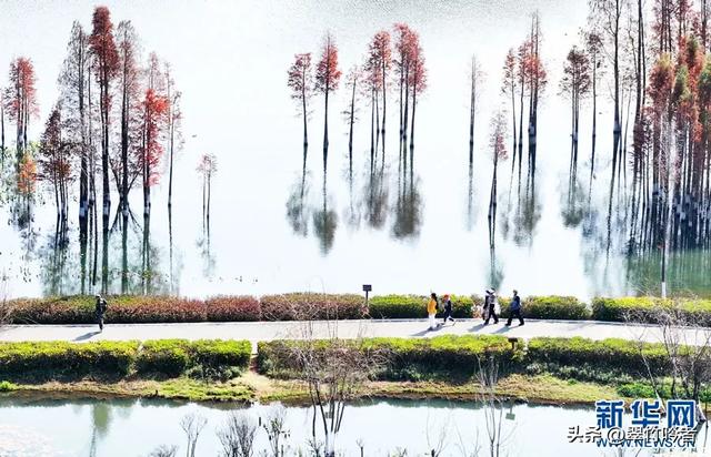 后悔来晚了，地铁直达的免费宝地，遛娃拍照绝佳，周末立刻出发。