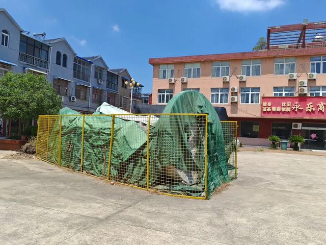 越查越担心！释永信被捕21天，失联亲弟仍无消息，钱袋子究竟在哪