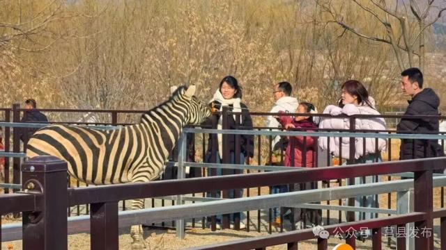 不必远游！日照家门口的遛娃首选地→