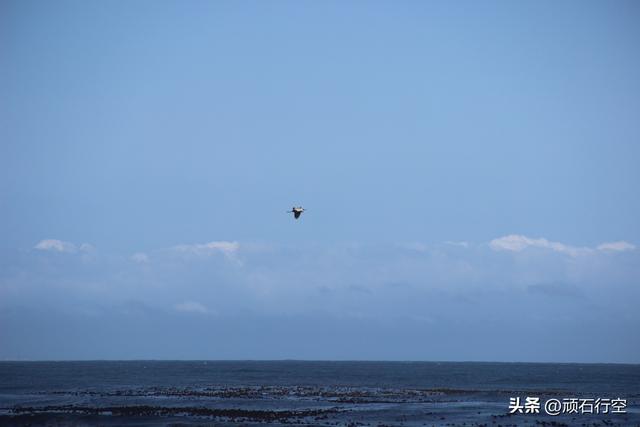 南部非洲：南非好旺角