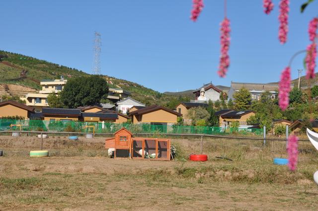 平城北魏鹿野旅游新地小石子村拍摄聚焦 记者 张德富