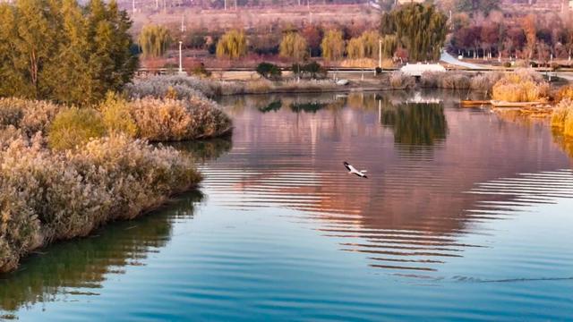 初冬东平湖，最是诗意时