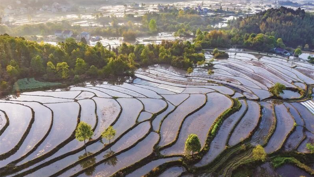 引爆文旅流量的20个场景设计｜2025网红场景这样造！