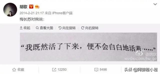 胡歌上海买房被偶遇，头顶秃了一大片	，老婆黄曦宁陪同，长相普通