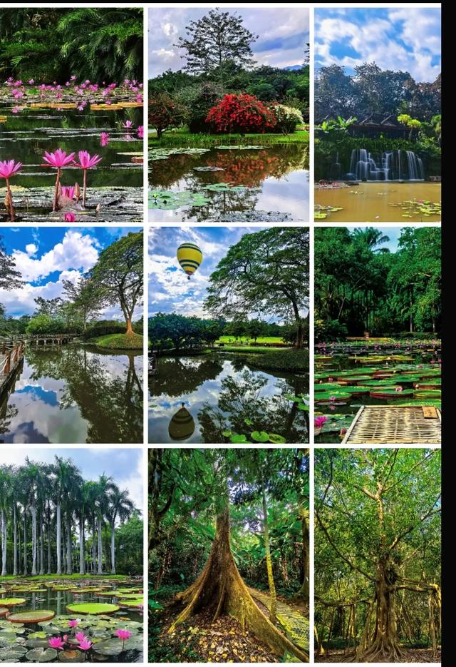 🌄 云南秘境解锁！2025年这4处神仙地，去了就不想走 [全新玩法]