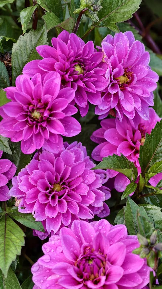 国家对8大扶持产业曝光，普通人不用靠大资本就能蹭上红利！