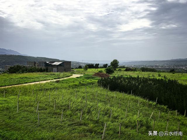 在西安最美免费露营地感叹：坡地变梯田，梯田变草原。真是神奇