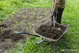 什么有机肥不用发酵可以直接使用？生活中哪些东西可以做有机肥图片
