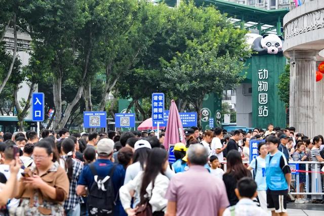 九龙坡 欢乐多！全区双节期间累计接待游客507.13万人次
