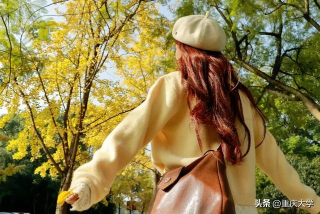 重大限定皮肤上新,超出片!🤳