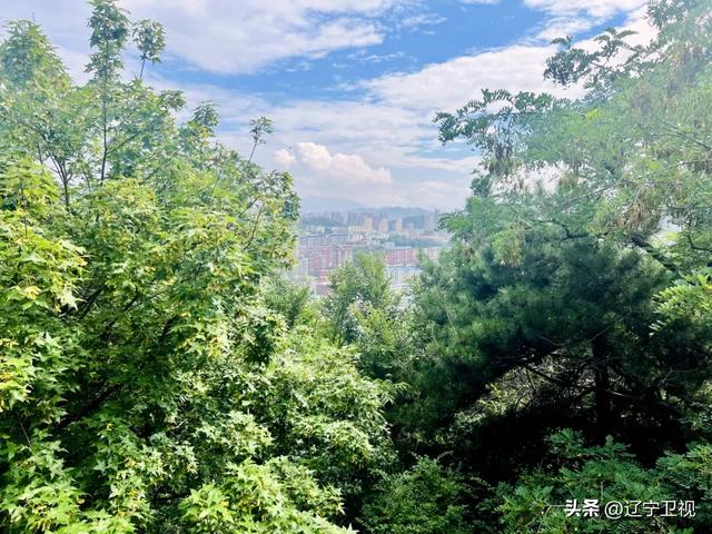 清晨6点的本溪烟火江湖!东北早市的快乐,谁懂啊?