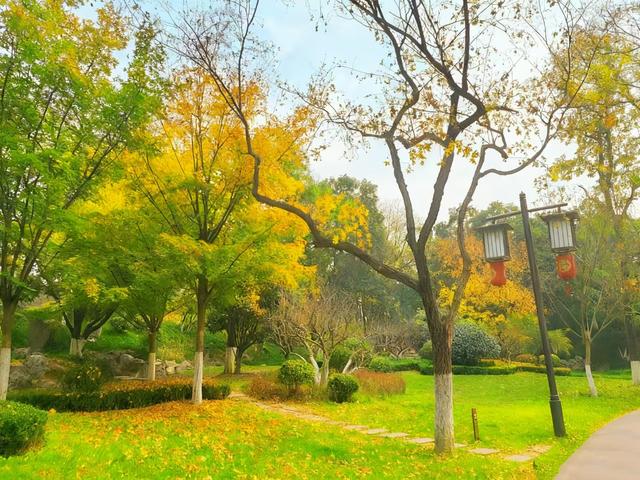 初冬限定之美——兴庆宫里的一步一景