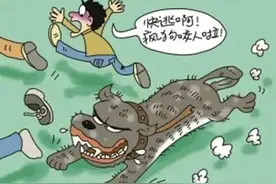 梦见被狗咬，有哪些说法和寓意？图片