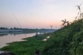 究竟是哪些人在捡矿泉水瓶子？图片